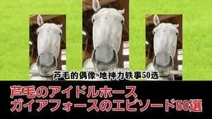 【熟肉】芦毛的偶像 地神力轶事50选